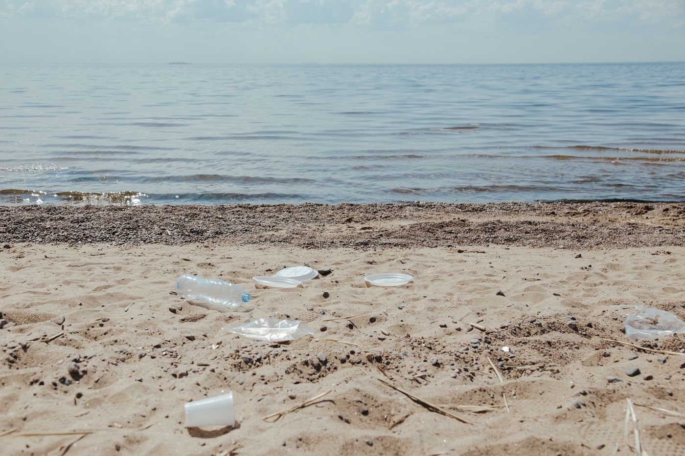 Discarded plastic food containers polluting a shoreline