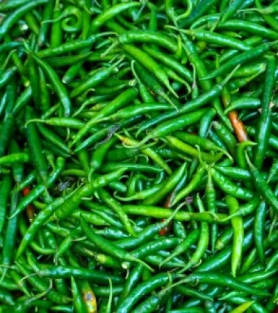 Green Chilies