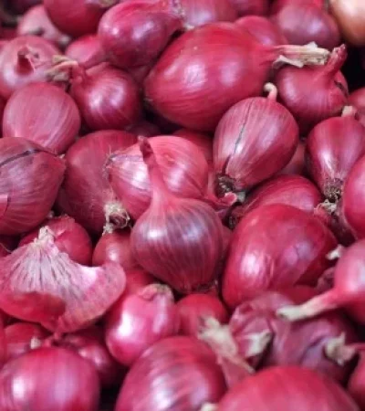 Onions